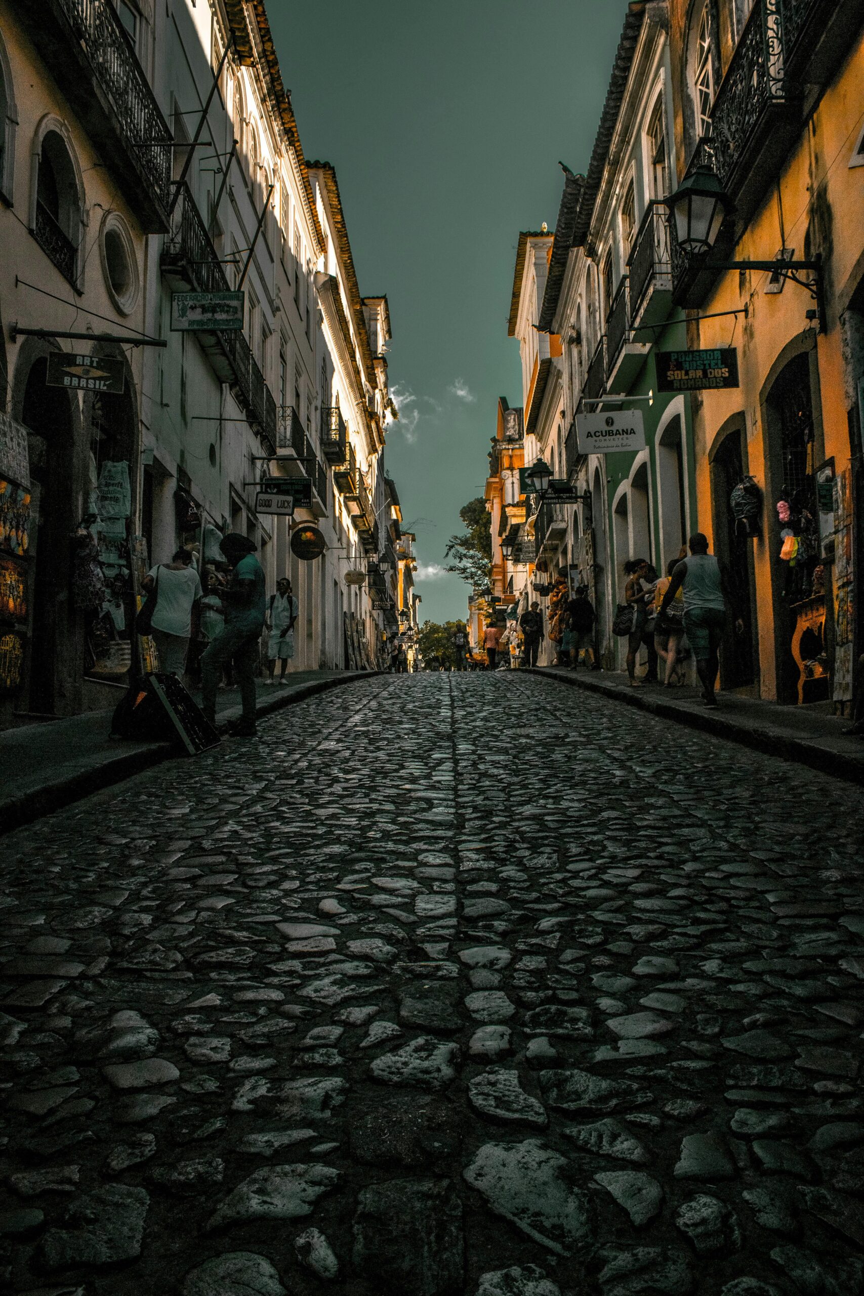 pexels-vitor-gusmao-shimabukuro-1110669-2104044